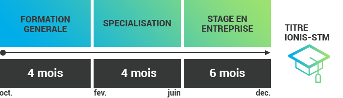 Formation MBA 2e année