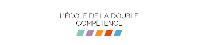Logo de l'école de la double compétence Ionis-STM