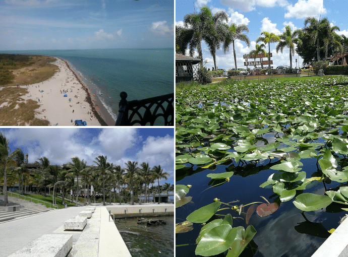souvenir du stage aux USA de Maëva Fanchin, ancienne étudiante du MSc Biotechnologies & Management de Ionis-STM