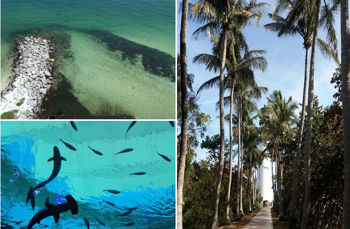 souvenir du stage aux USA de Maëva Fanchin, ancienne étudiante du MSc Biotechnologies & Management de Ionis-STM